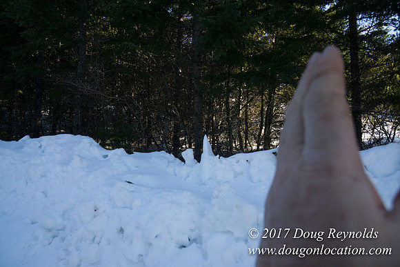 Lost lake Rd with Snow