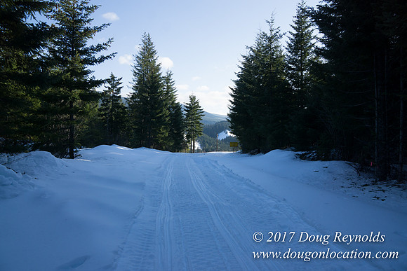 Lost lake Rd with Snow
