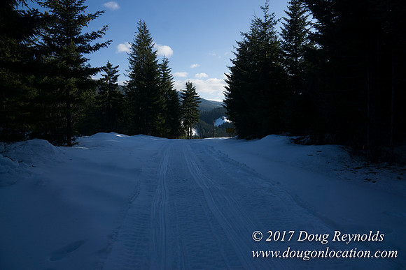 Lost lake Rd with Snow