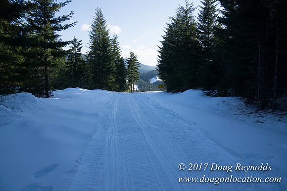 Lost lake Rd with Snow