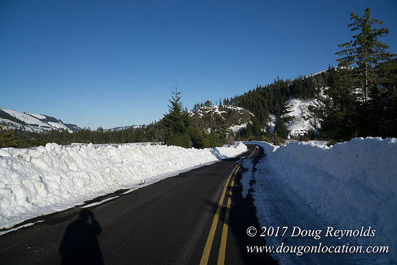 Lost lake Rd with Snow