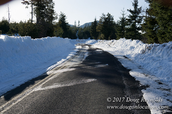 Lost lake Rd with Snow