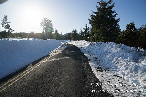 Lost lake Rd with Snow