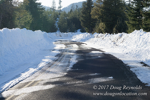 Lost lake Rd with Snow