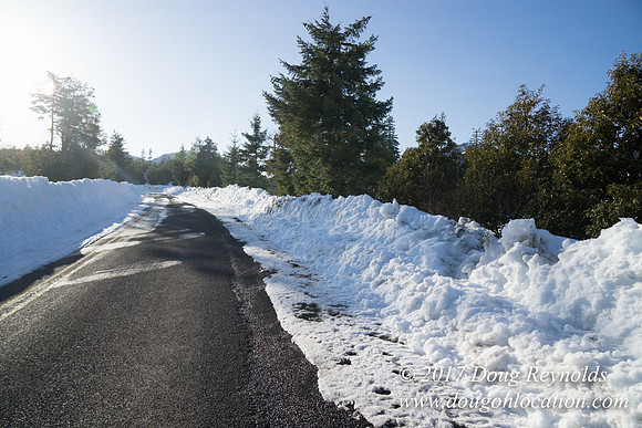 Lost lake Rd with Snow