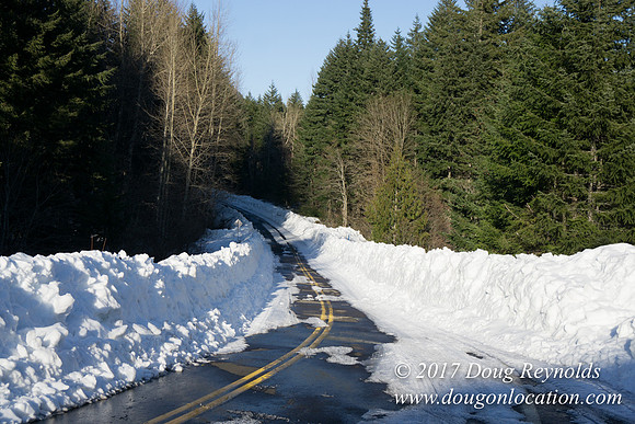 Lost lake Rd with Snow