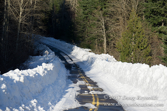 Lost lake Rd with Snow