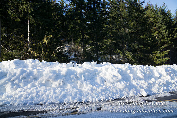 Lost lake Rd with Snow