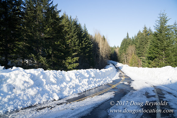 Lost lake Rd with Snow