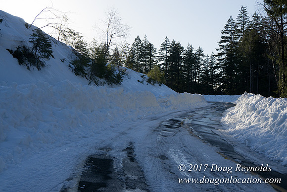 Lost lake Rd with Snow