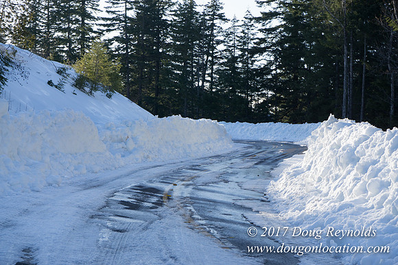 Lost lake Rd with Snow
