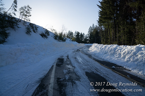 Lost lake Rd with Snow