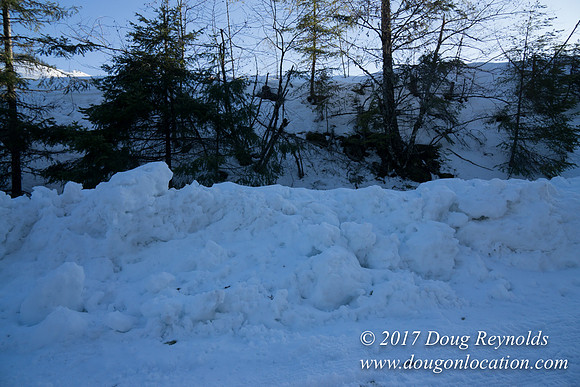 Lost lake Rd with Snow