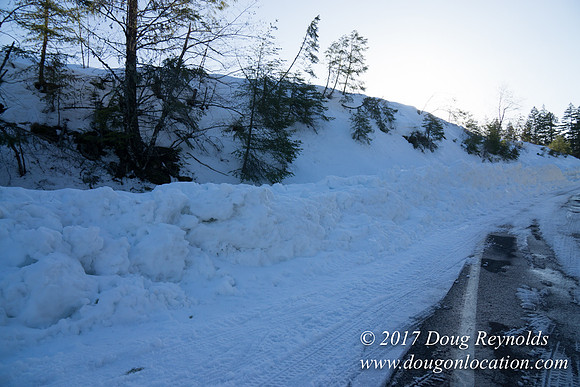 Lost lake Rd with Snow