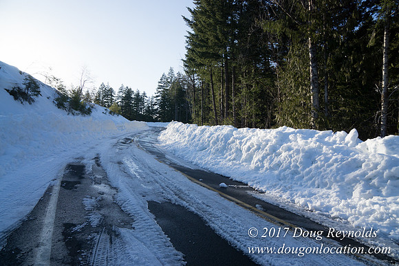 Lost lake Rd with Snow