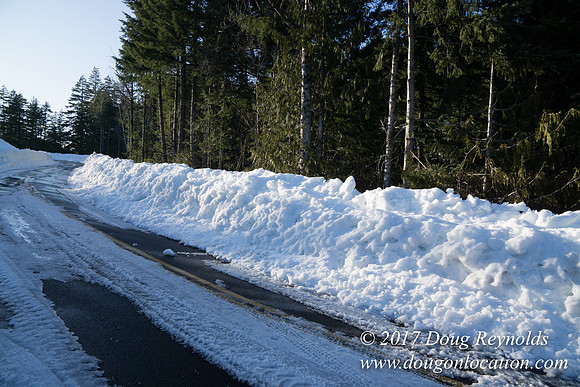 Lost lake Rd with Snow