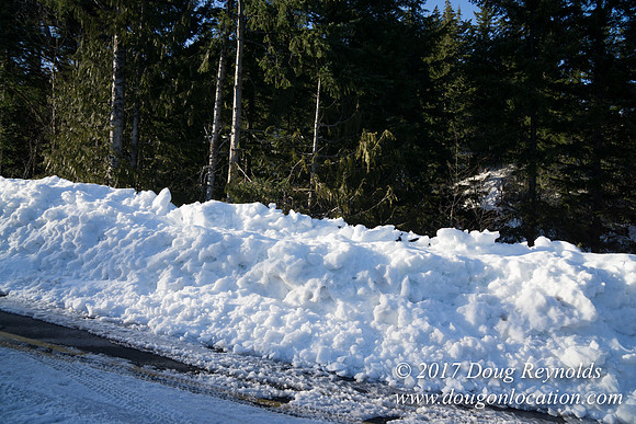 Lost lake Rd with Snow