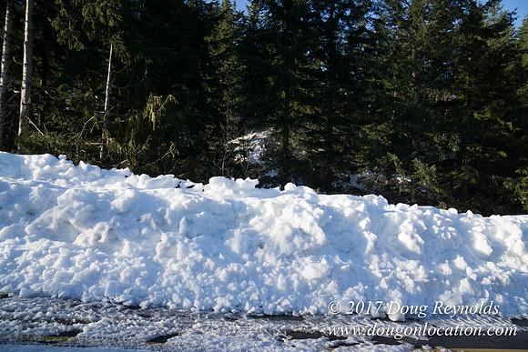 Lost lake Rd with Snow