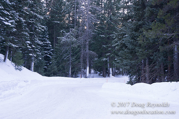 Cooper Spur Road Snow