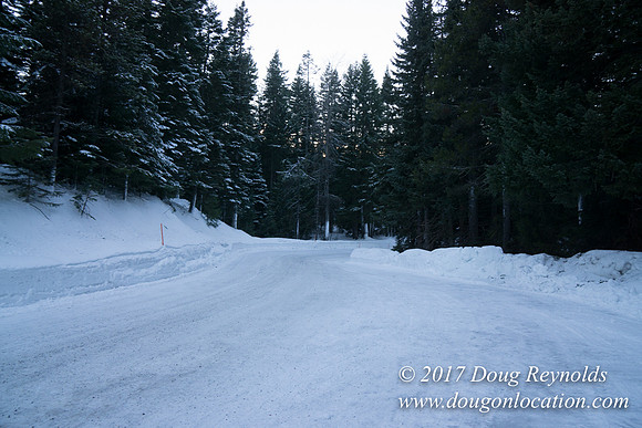 Cooper Spur Road Snow
