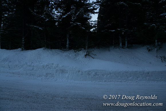Cooper Spur Road Snow