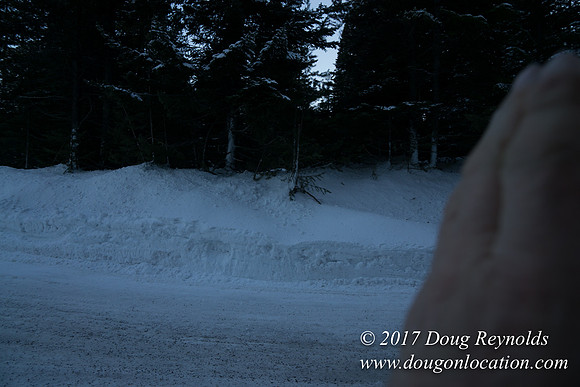 Cooper Spur Road Snow