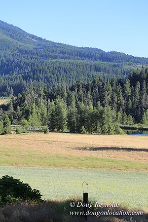 Elk Haven Ranch-8582