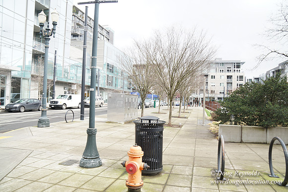 NW 11th & Northrup-8071