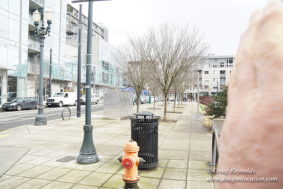 NW 11th & Northrup-8072