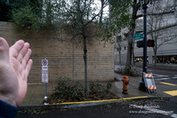 Streets of Portland