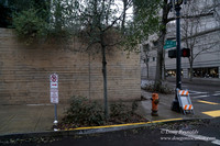 Streets of Portland