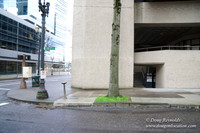 Streets of Portland
