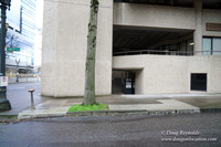 Streets of Portland
