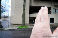 Streets of Portland