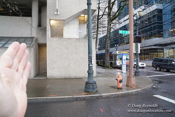 SW 1st & Madison-8539