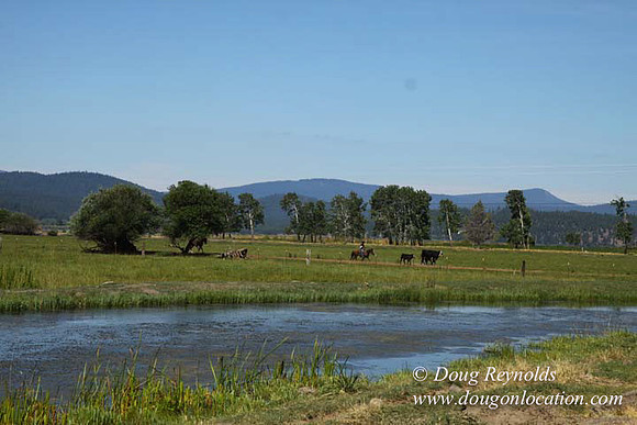 2500 Acres of green fields Creeks water crossing Bridges on a Large Lake and miles of Dirt roads Oak trees Forest land ATV Trails cows