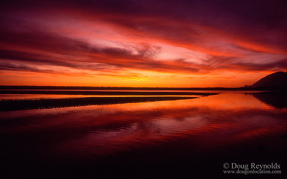 Manzanita Sunset