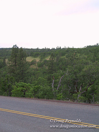 WA Canyon Rd- 7404