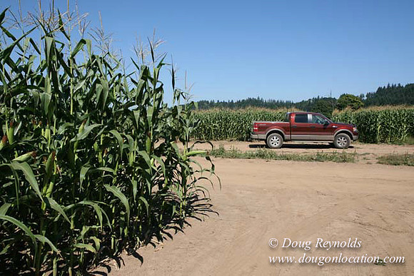 Farm 4 has Barns Shops they grow Wheat and Corn.  in the Portland Zone