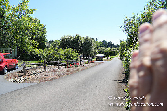 Scotts House-5378