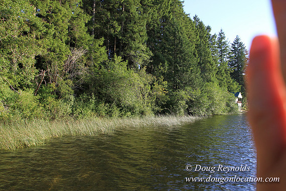 Boat, Cabin, Dock, Home, "House lake", WA, Washington, Yard, deck, "green. Beach" Vacation