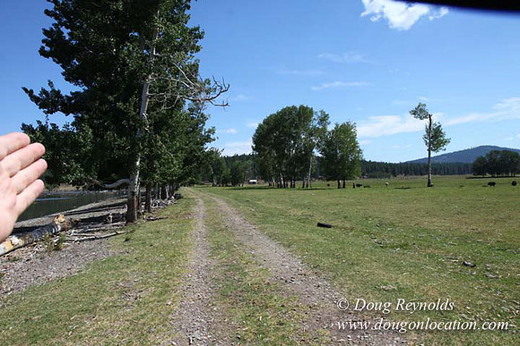 2500 Acres of green fields Creeks water crossing Bridges on a Large Lake and miles of Dirt roads Oak trees Forest land ATV Trails cows