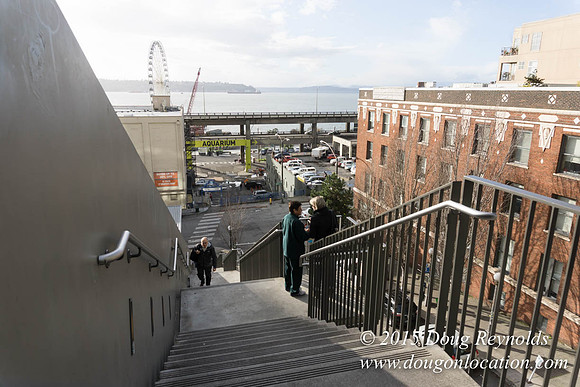 Seattle Steps