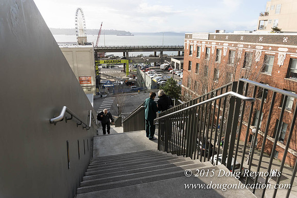 Seattle Steps