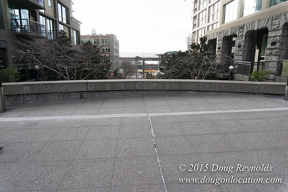Seattle Steps