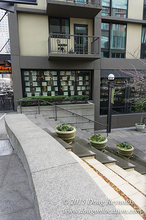 Seattle Steps