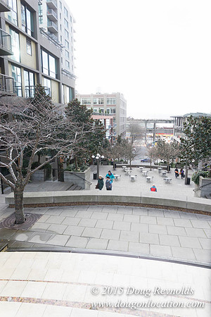 Seattle Steps