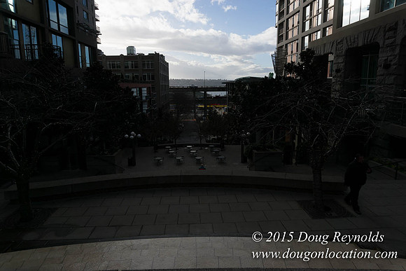 Seattle Steps