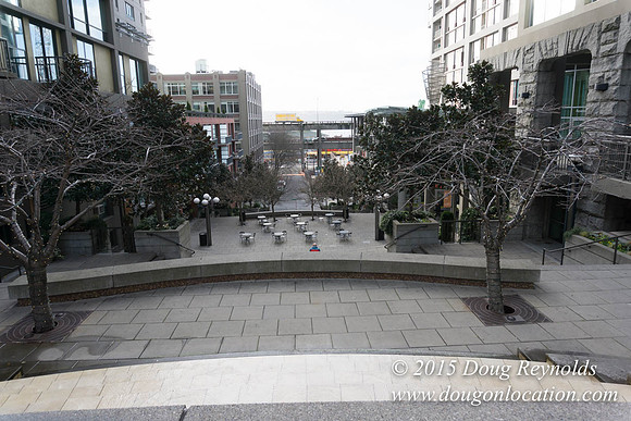 Seattle Steps