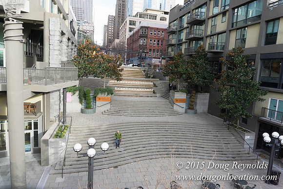 Seattle Steps